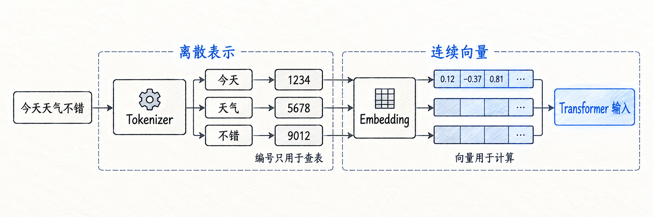 从自然语言文本到 Token ID 与词嵌入向量